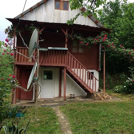 Villa Tengiz Chakvistavi Ngoại thất bức ảnh