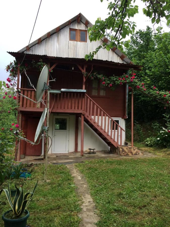 Villa Tengiz Chakvistavi Ngoại thất bức ảnh