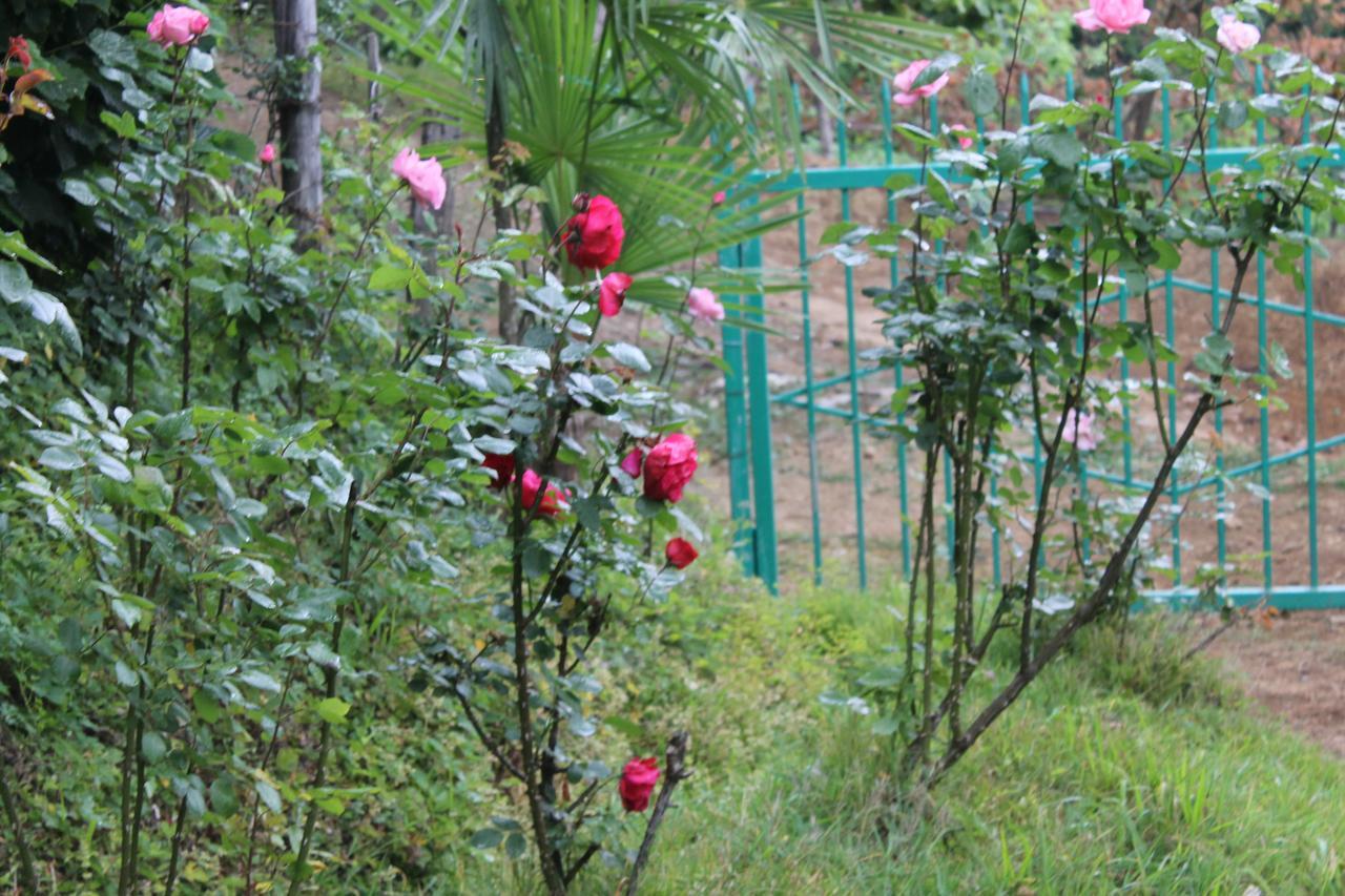 Villa Tengiz Chakvistavi Ngoại thất bức ảnh
